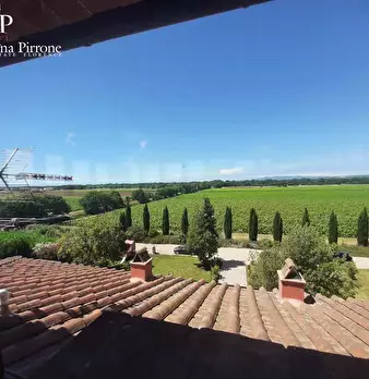 Foto annuncio 6