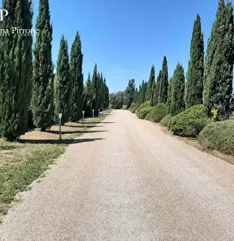 Foto annuncio 59
