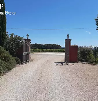 Foto annuncio 60