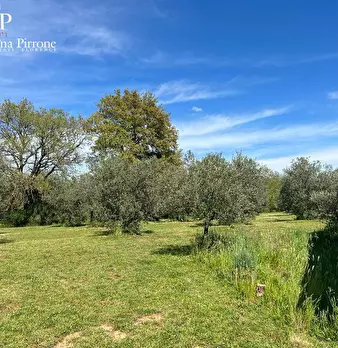 Foto annuncio 4