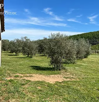 Foto annuncio 8