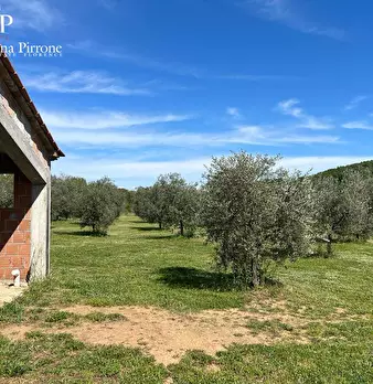 Foto annuncio 9
