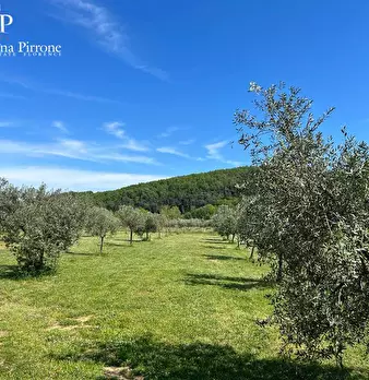 Foto annuncio 10