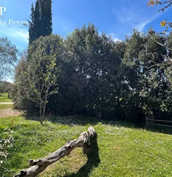 Foto annuncio 17