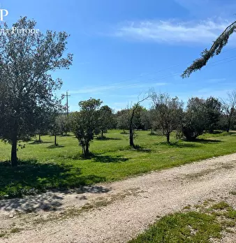 Foto annuncio 25