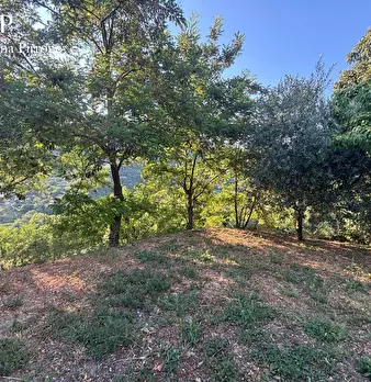 Foto annuncio 48