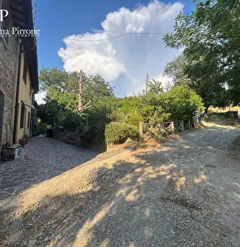 Foto annuncio 50
