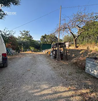 Foto annuncio 46