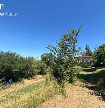 Foto annuncio 48