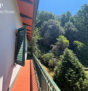 Foto annuncio 45