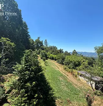 Foto annuncio 47