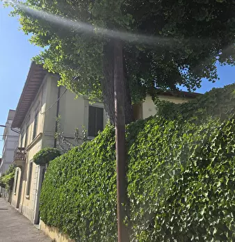 Foto annuncio 28