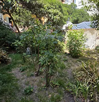 Foto annuncio 39