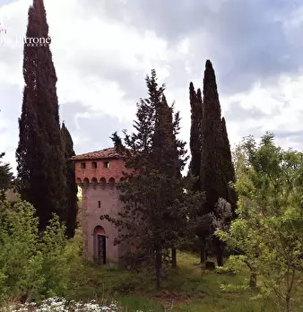 Foto annuncio 11