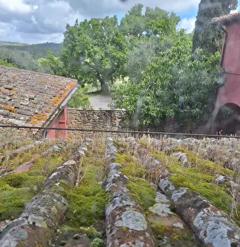 Foto annuncio 21