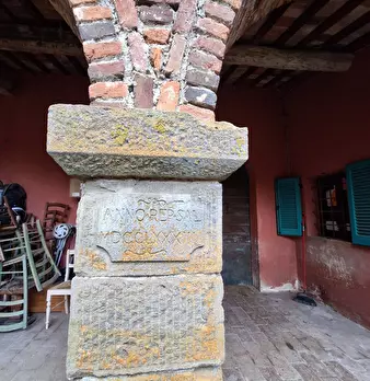 Foto annuncio 34