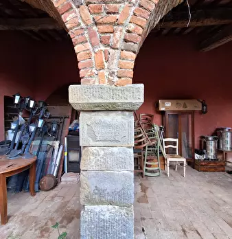 Foto annuncio 35