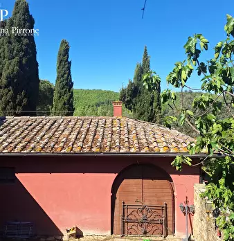 Foto annuncio 59