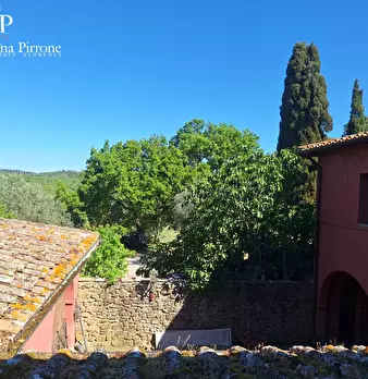 Foto annuncio 63