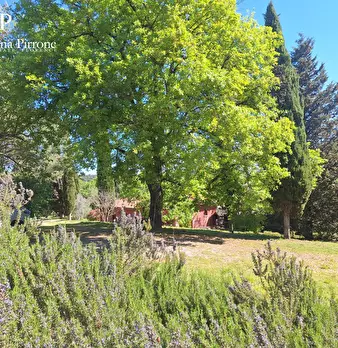 Foto annuncio 66