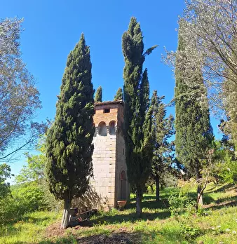 Foto annuncio 70