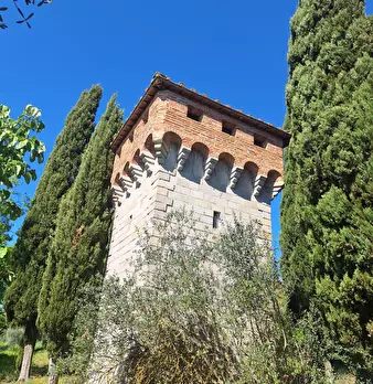 Foto annuncio 71