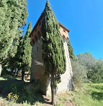 Foto annuncio 72