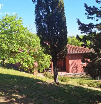 Foto annuncio 74