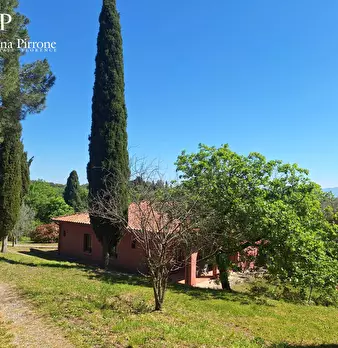 Foto annuncio 75