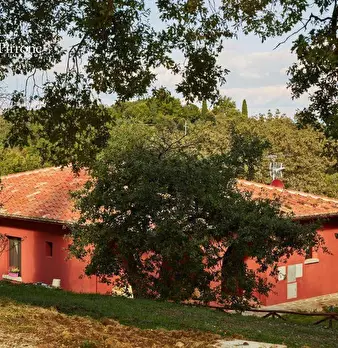 Foto annuncio 84
