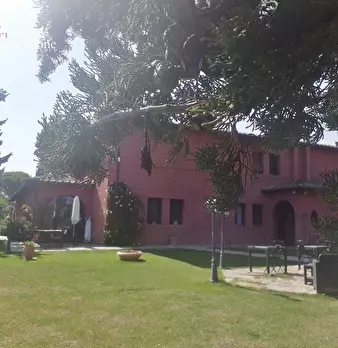 Foto annuncio 102