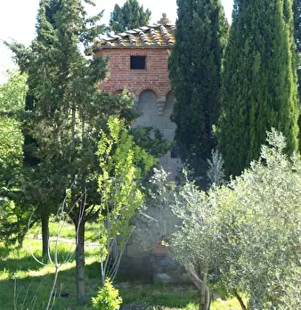 Foto annuncio 105