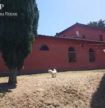 Foto annuncio 121