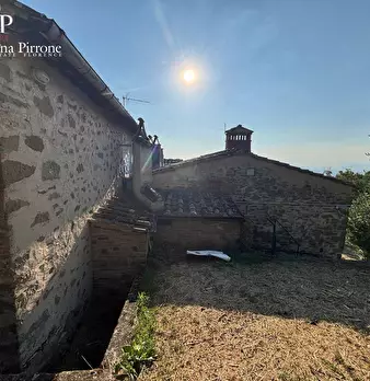 Foto annuncio 8