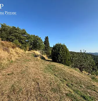 Foto annuncio 50