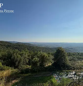 Foto annuncio 49