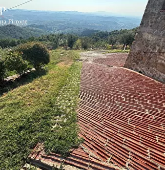 Foto annuncio 46