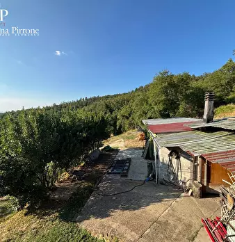 Foto annuncio 39
