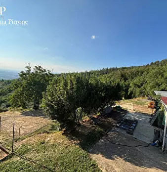 Foto annuncio 40