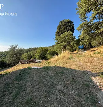Foto annuncio 53