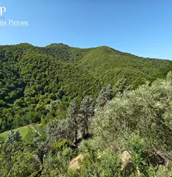 Foto annuncio 26