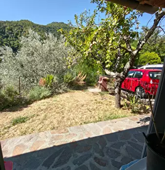 Foto annuncio 33