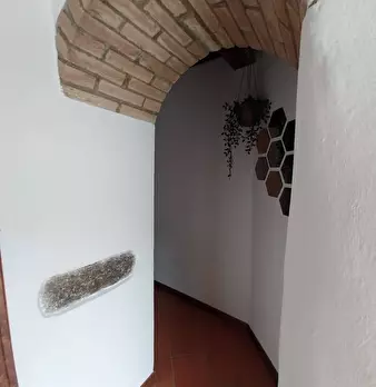 Foto annuncio 26