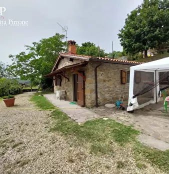 Foto annuncio 48