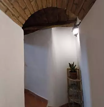 Foto annuncio 49