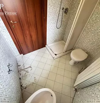 Foto annuncio 31