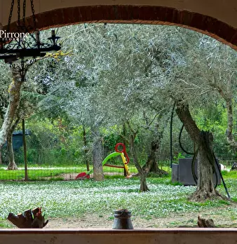 Foto annuncio 9