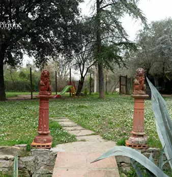 Foto annuncio 10