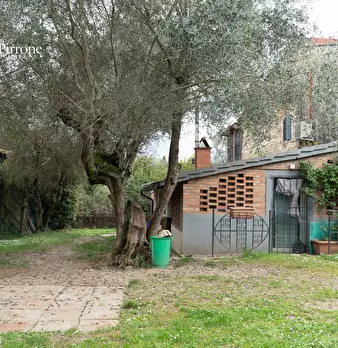 Foto annuncio 11
