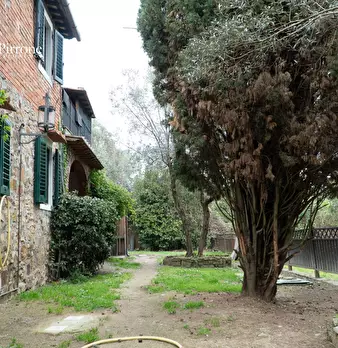 Foto annuncio 3